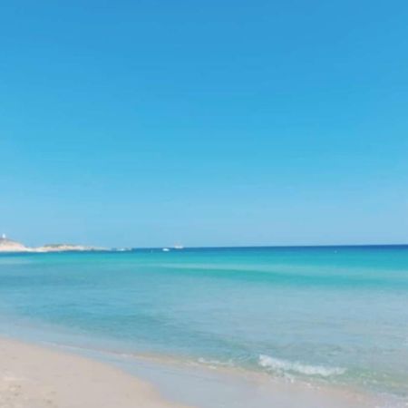 SantʼAnna Arresi B&B Juniperus المظهر الخارجي الصورة